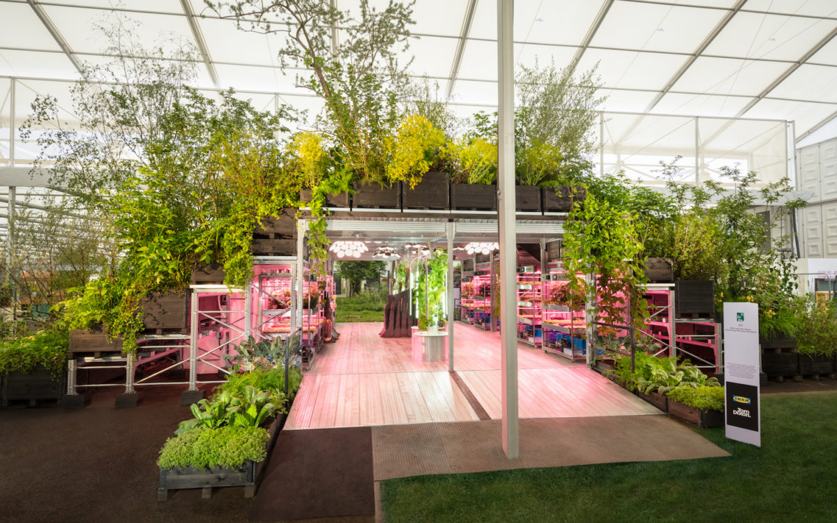 Gardening Will Save The World / Ikea And Tom Dixon
